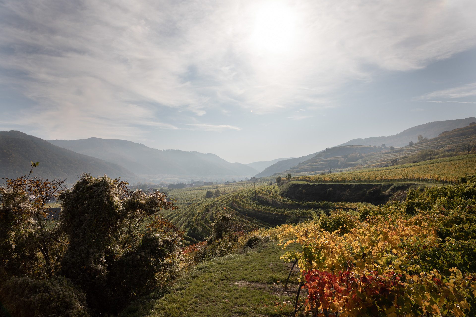 (c) Mayr-wachau.at